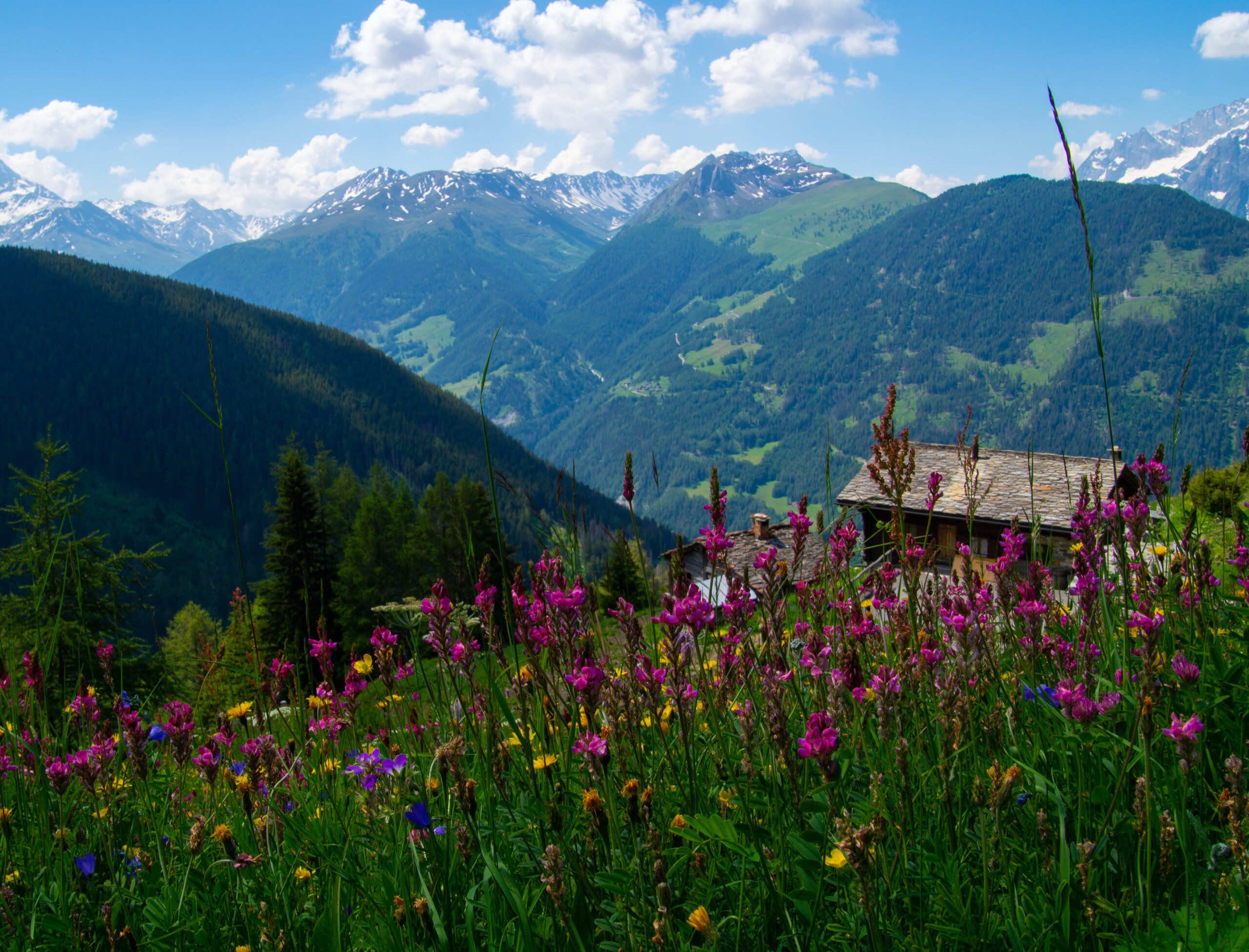 commeire in orsieres ,valais,swiss