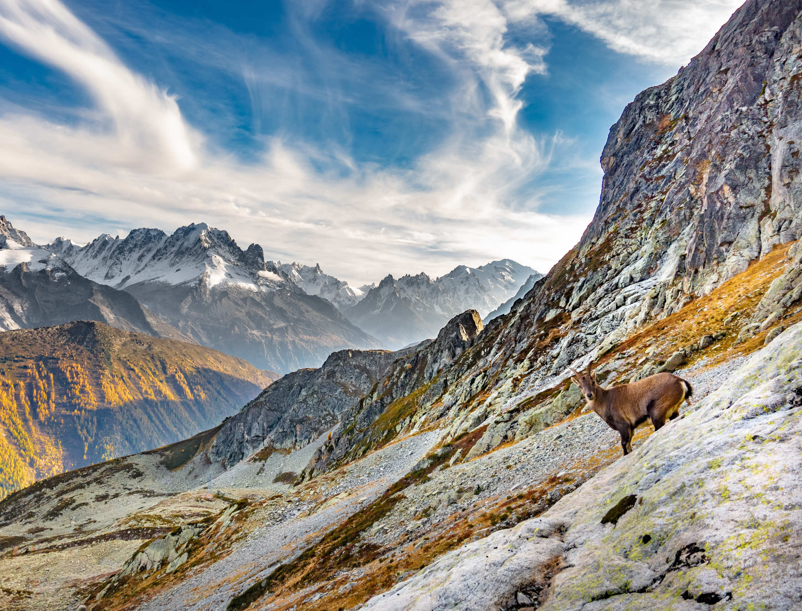 VALLORCINE_sylvain-mauroux-V72XZ1MkmCY-unsplash (1)