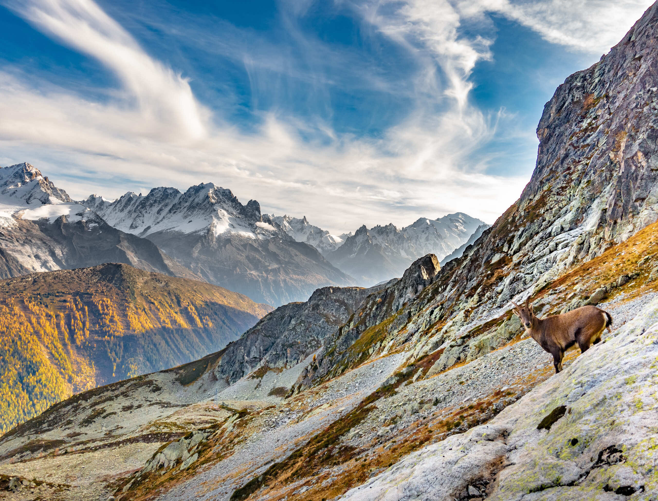 VALLORCINE_sylvain-mauroux-V72XZ1MkmCY-unsplash