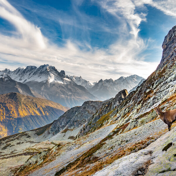#7 Slow Life dans Le Valais, France–Suisse 🇫🇷🇨🇭