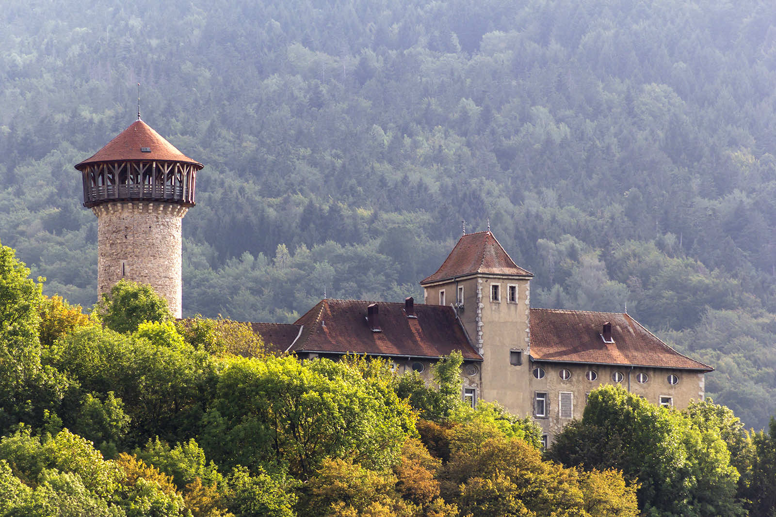 Medieval castle on a background of green mountain in the city of